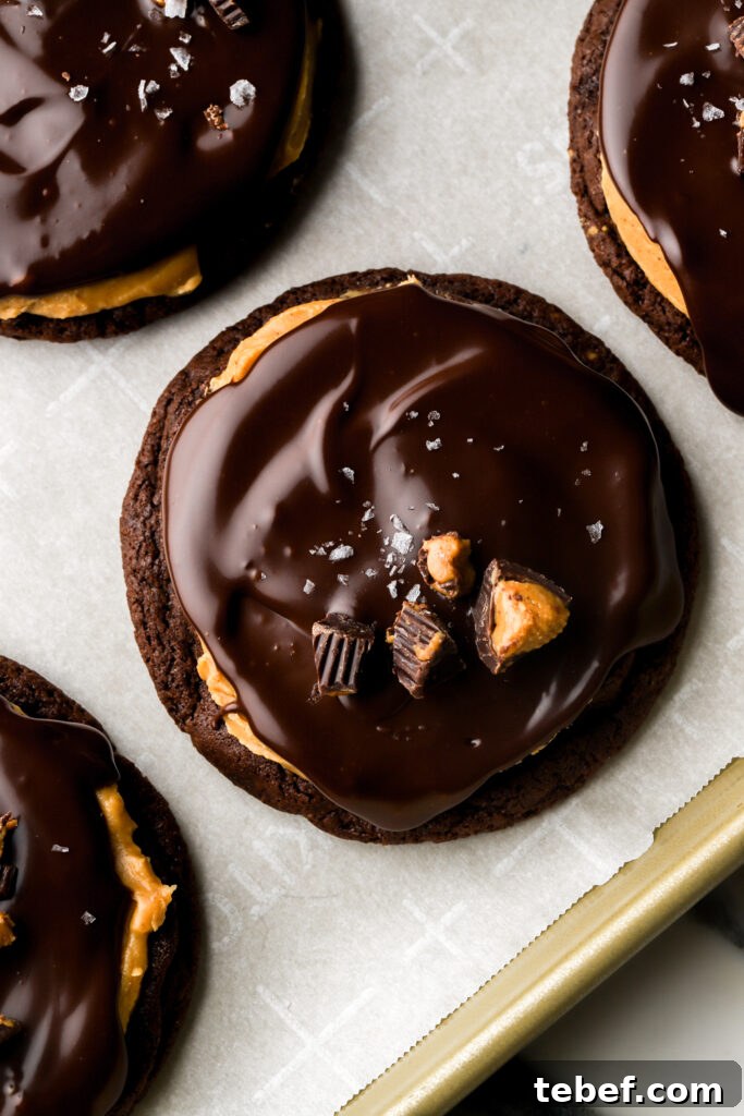 buckeye cookies topped with chocolate ganache