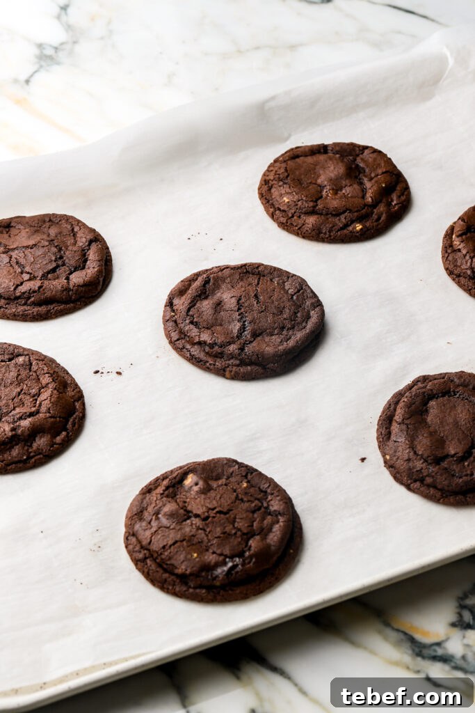 chocolate cookies baked