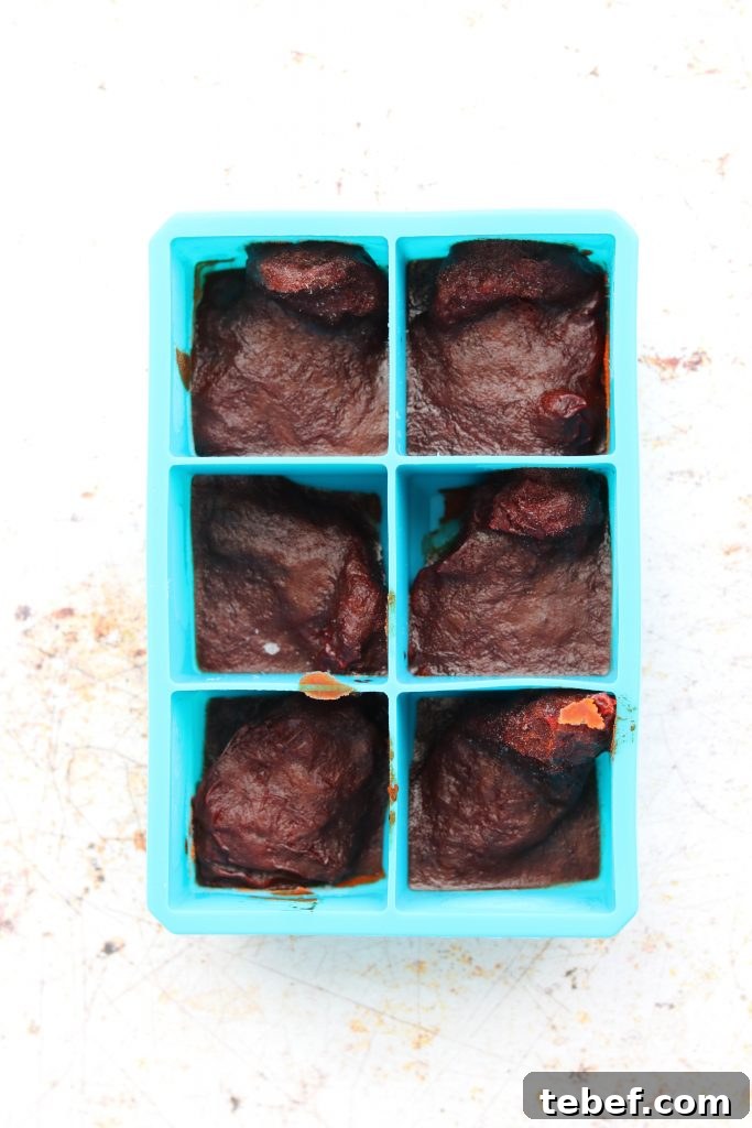 frozen chipotle chiles in ice tray