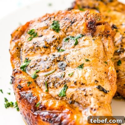This Pork Chop Marinade makes meat juicy, tender, and super flavorful.