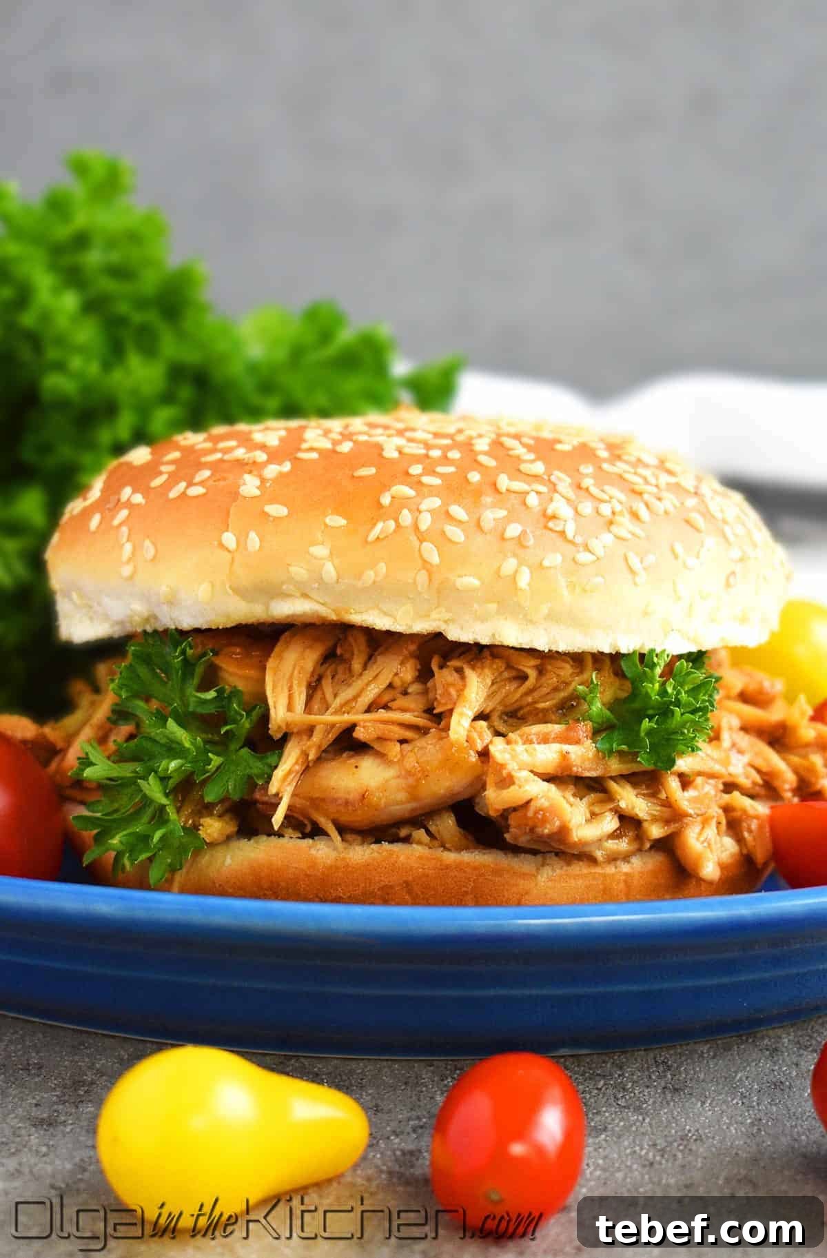 slow cooker bbq chicken sandwich