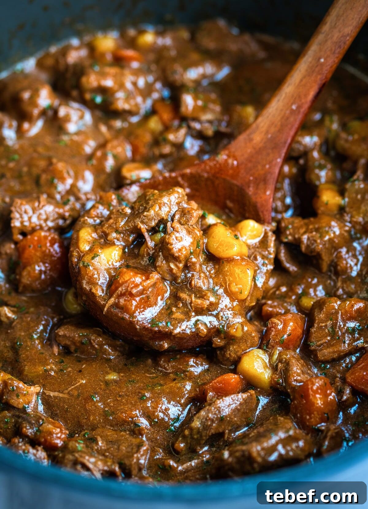 A close-up of a hearty beef stew in a pot