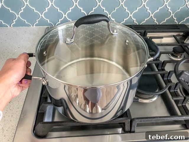 Anolon Advanced Tri-Ply Cookware review stockpot