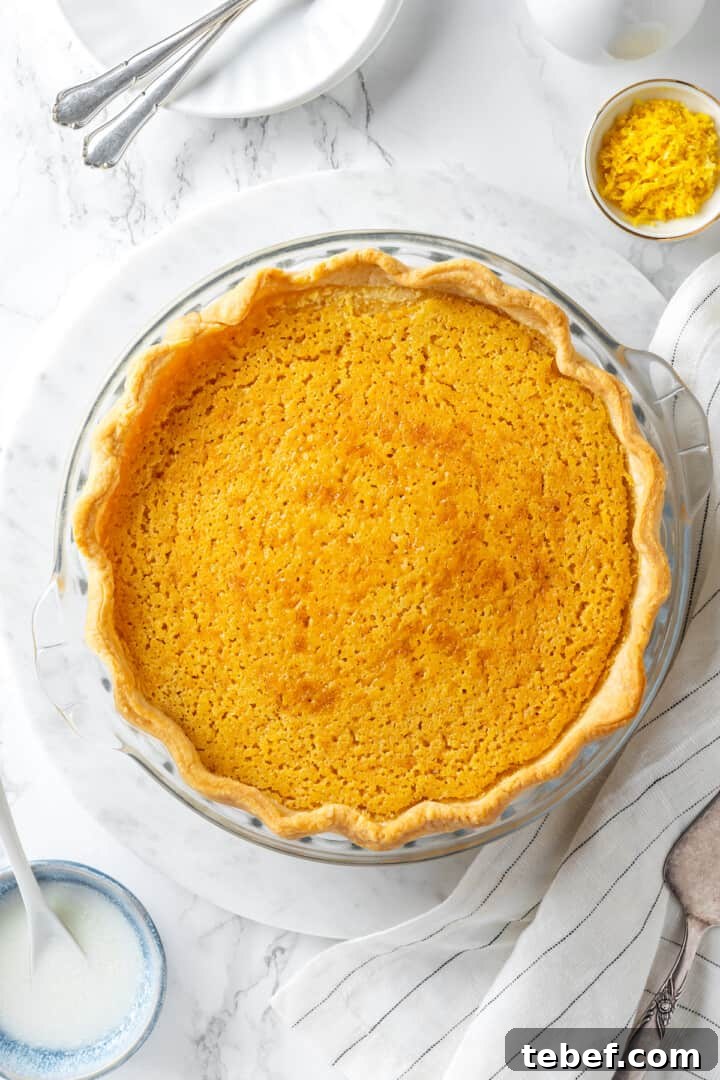 Overhead view of vegan buttermilk pie before adding whipped cream