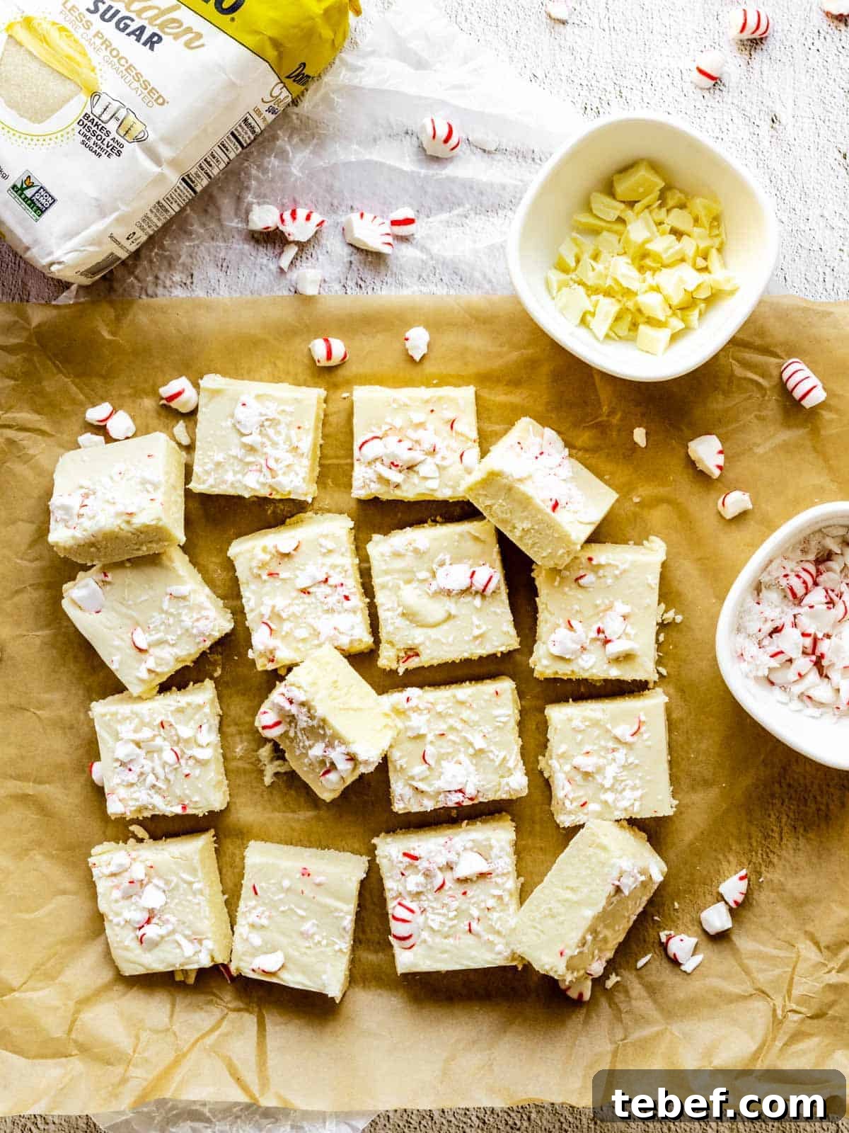 holiday fudge with candy canes