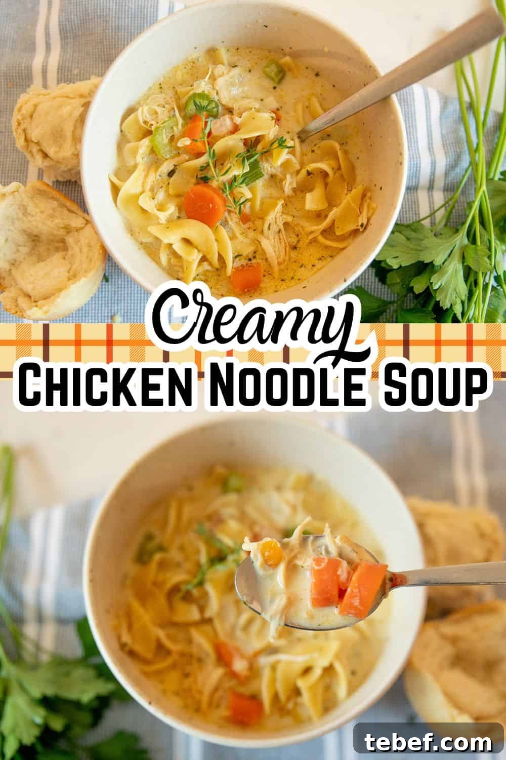 creamy chicken noodle soup with text