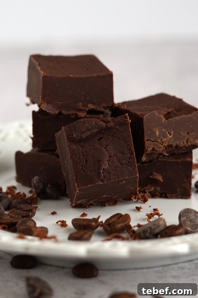 Chocolate Fudge