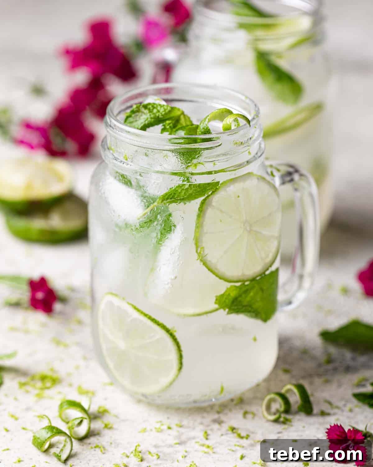 A tequila mule or mexican mule in mason jar glass garnished with limes and mint leaves.